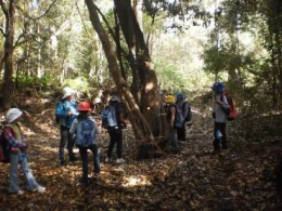 Children in a forest